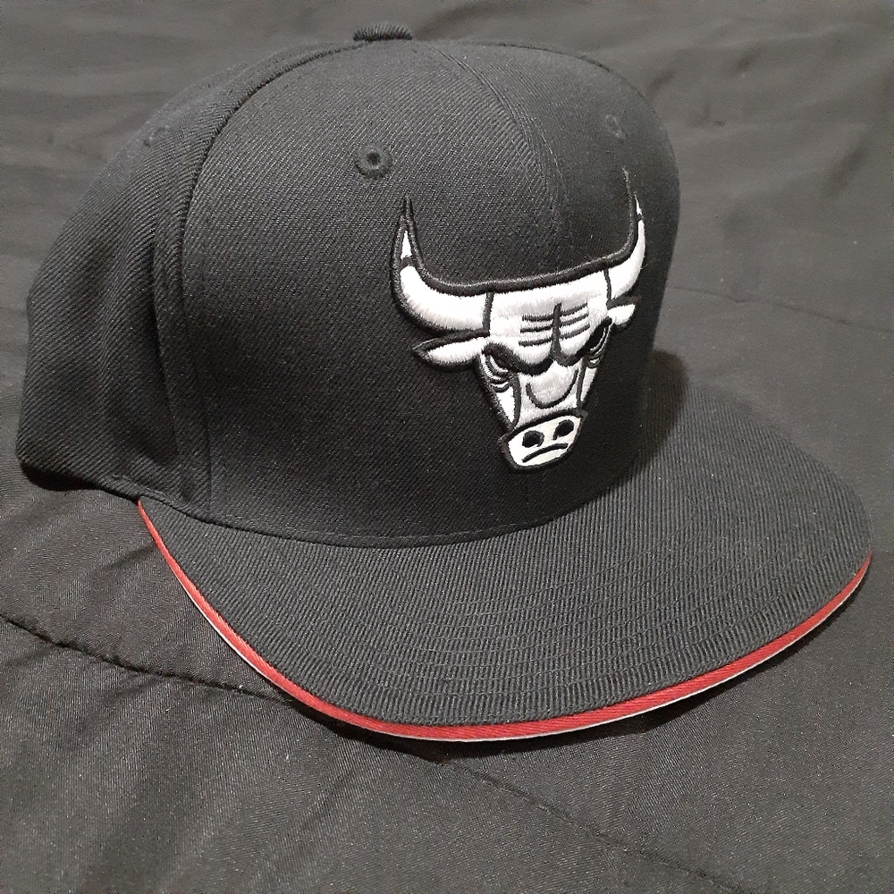 Chicago bulls snap back